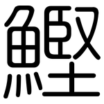 鰹: 圓體