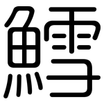 鱈: 圓體