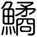 鱊: 圓體