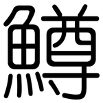 鱒: 圓體