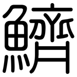 鱭: 圓體