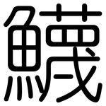 鱴: 圓體