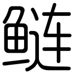 鲢: 圓體