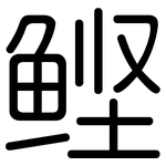 鲣: 圓體