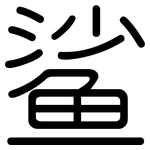 鲨: 圓體