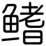 鳍: 圓體
