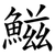 鰦
