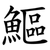 鰸