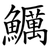 鱱