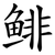 鲱