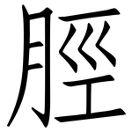 脛: 仿宋体