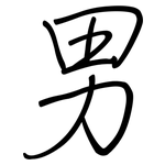 男: 钢笔楷书 男: 钢笔楷书