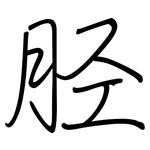 胫: 钢笔楷书