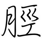 脛: 钢笔楷书