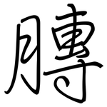 膞: 钢笔楷书