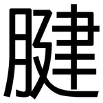 腱: 黑体