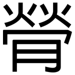 膋: 黑体