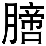 膪: 黑体