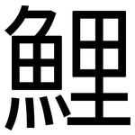 鯉: 黑体