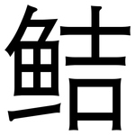鲒: 黑体