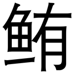 鲔: 黑体
