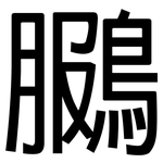 鵩: 黑体