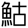 鮕: 黑体