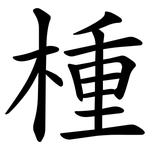 㮔