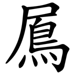 䲩