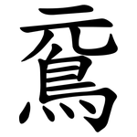 䲶