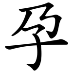 孕 孕