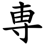 専