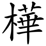 樺
