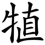 犆