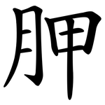 胛