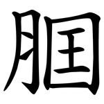 腘