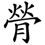 膋