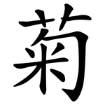 菊 菊