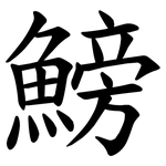 鰟