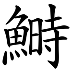 鰣