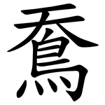 鴌