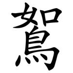 鴽