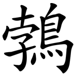 鵓
