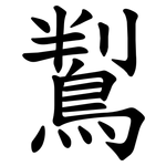 鵥