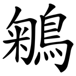 鵴