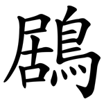鶋