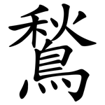 鶖