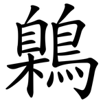 鷍