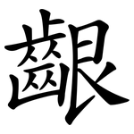 齦