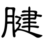 腱: 隶书